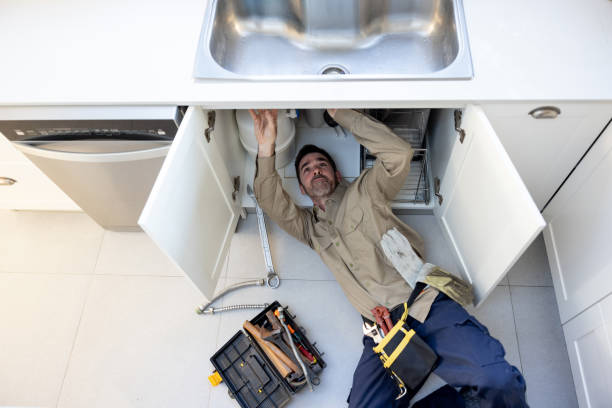 Best Plumbing System Maintenance  in Somonauk, IL