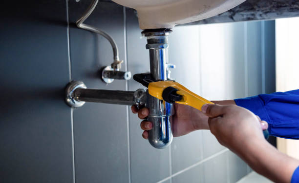 Best Leak Detection and Repair  in Somonauk, IL